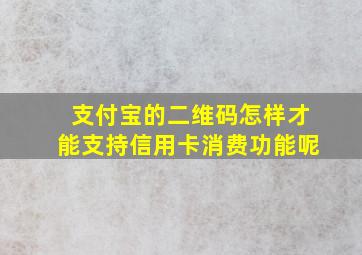 支付宝的二维码怎样才能支持信用卡消费功能呢