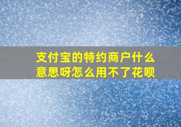 支付宝的特约商户什么意思呀怎么用不了花呗