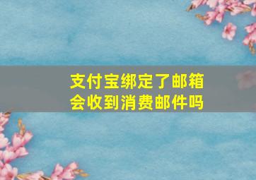 支付宝绑定了邮箱会收到消费邮件吗