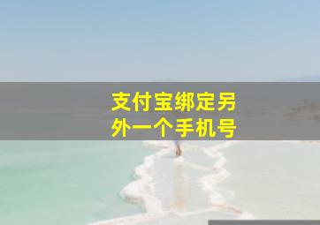 支付宝绑定另外一个手机号