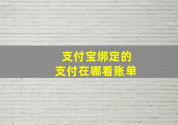 支付宝绑定的支付在哪看账单