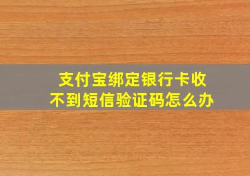 支付宝绑定银行卡收不到短信验证码怎么办