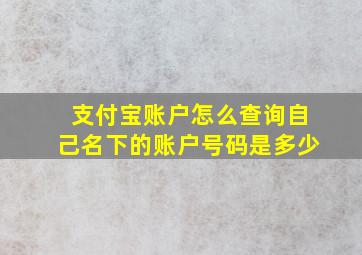 支付宝账户怎么查询自己名下的账户号码是多少