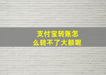 支付宝转账怎么转不了大额呢