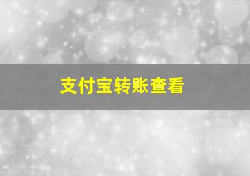 支付宝转账查看