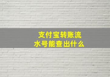 支付宝转账流水号能查出什么