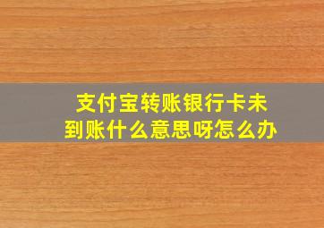 支付宝转账银行卡未到账什么意思呀怎么办