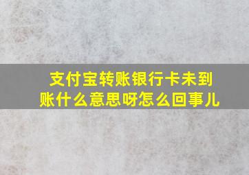 支付宝转账银行卡未到账什么意思呀怎么回事儿