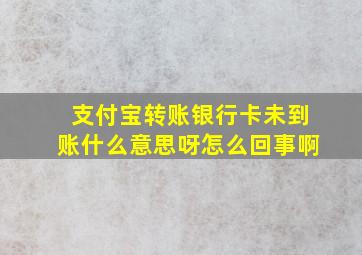 支付宝转账银行卡未到账什么意思呀怎么回事啊