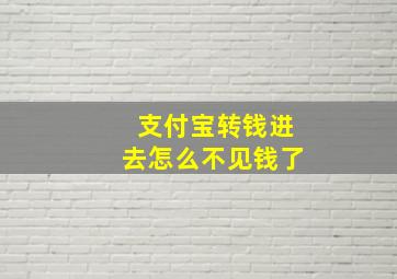 支付宝转钱进去怎么不见钱了