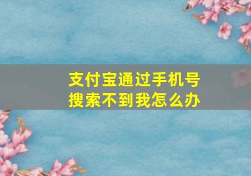 支付宝通过手机号搜索不到我怎么办