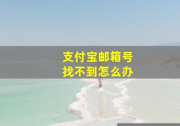 支付宝邮箱号找不到怎么办