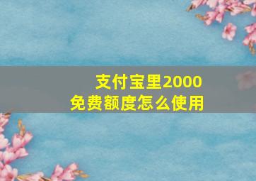 支付宝里2000免费额度怎么使用