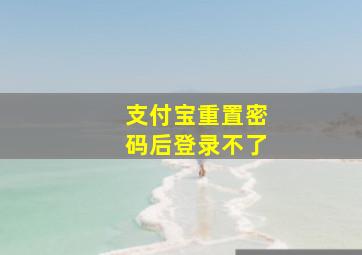 支付宝重置密码后登录不了