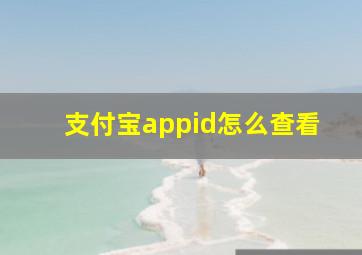 支付宝appid怎么查看