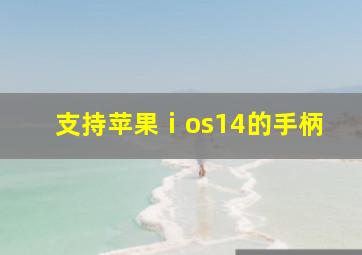 支持苹果ⅰos14的手柄