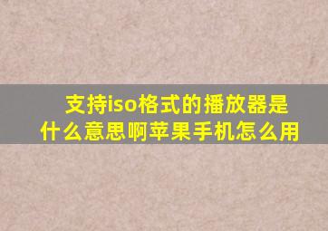 支持iso格式的播放器是什么意思啊苹果手机怎么用