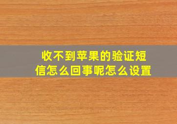 收不到苹果的验证短信怎么回事呢怎么设置