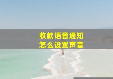 收款语音通知怎么设置声音