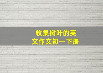 收集树叶的英文作文初一下册