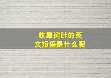 收集树叶的英文短语是什么呢