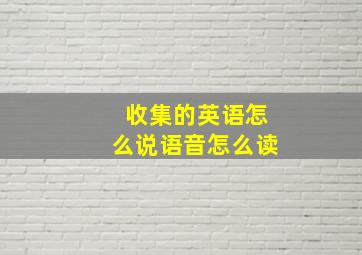 收集的英语怎么说语音怎么读