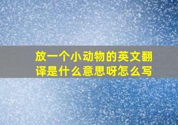 放一个小动物的英文翻译是什么意思呀怎么写