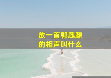 放一首郭麒麟的相声叫什么