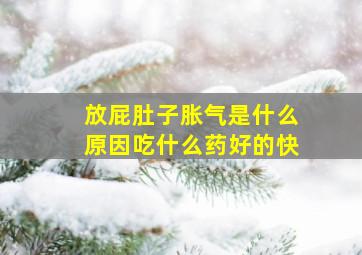 放屁肚子胀气是什么原因吃什么药好的快