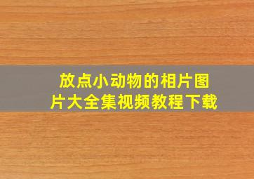 放点小动物的相片图片大全集视频教程下载