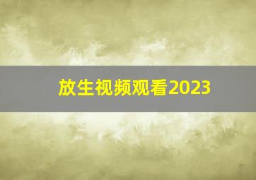 放生视频观看2023