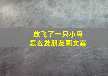 放飞了一只小鸟怎么发朋友圈文案