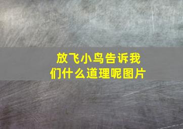 放飞小鸟告诉我们什么道理呢图片