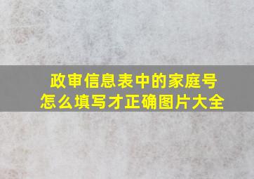 政审信息表中的家庭号怎么填写才正确图片大全