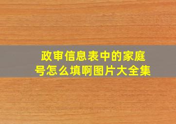 政审信息表中的家庭号怎么填啊图片大全集