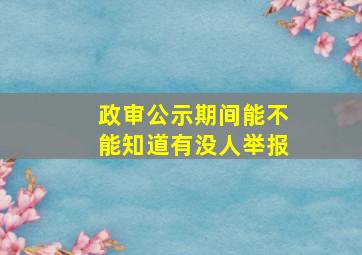 政审公示期间能不能知道有没人举报