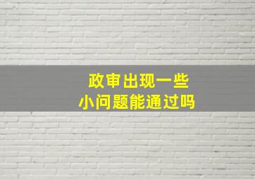 政审出现一些小问题能通过吗