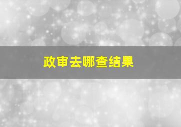 政审去哪查结果