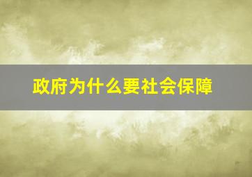 政府为什么要社会保障