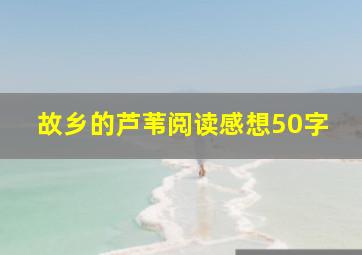 故乡的芦苇阅读感想50字