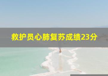 救护员心肺复苏成绩23分