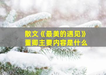 散文《最美的遇见》董卿主要内容是什么