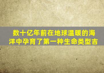 数十亿年前在地球温暖的海洋中孕育了第一种生命类型吉