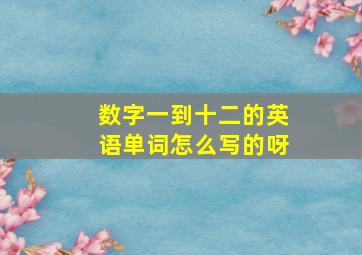 数字一到十二的英语单词怎么写的呀