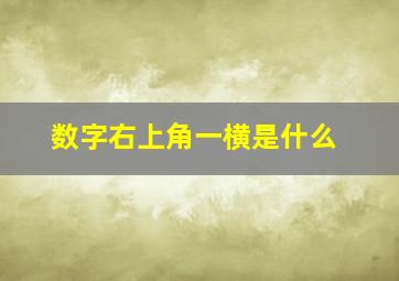 数字右上角一横是什么