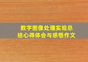 数字图像处理实验总结心得体会与感悟作文