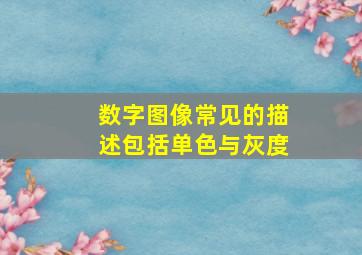 数字图像常见的描述包括单色与灰度