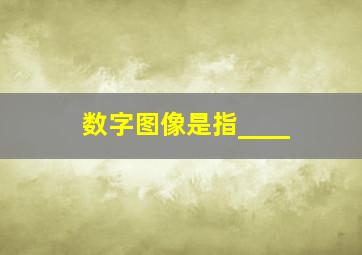 数字图像是指____