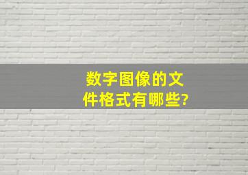 数字图像的文件格式有哪些?