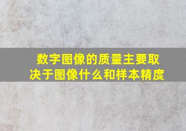 数字图像的质量主要取决于图像什么和样本精度